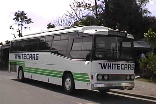 Whitecars Denning Landseer